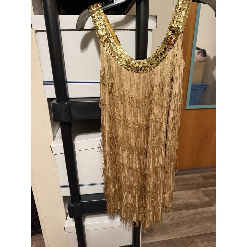 Champagne Flapper Dress Complete 1920S Costume W/ Accessories One Size Fits Most